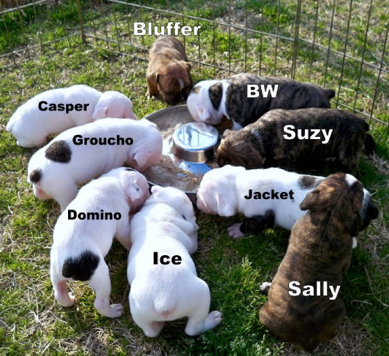 4wmeal1.jpg