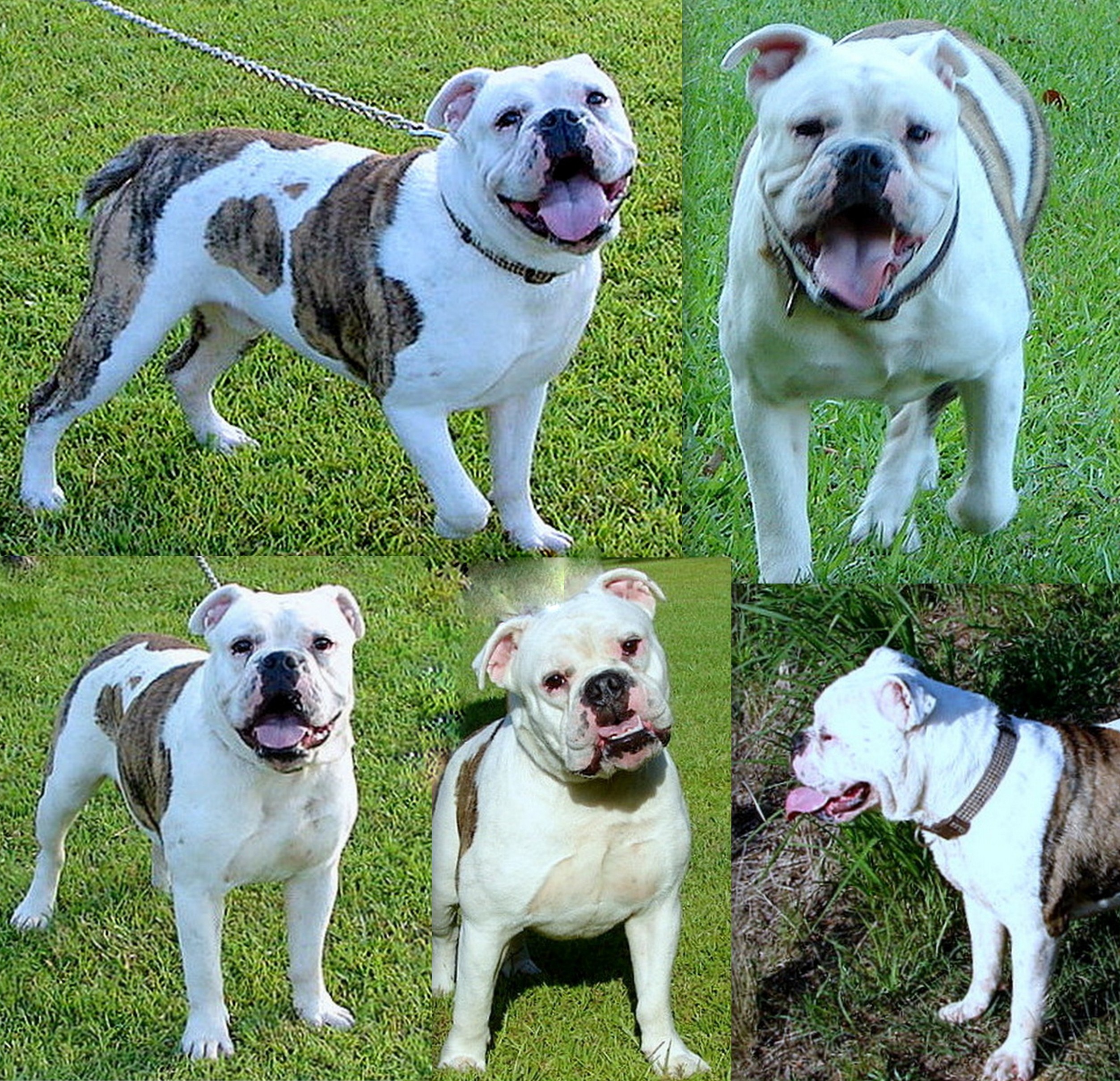 rufusmay2012.jpg