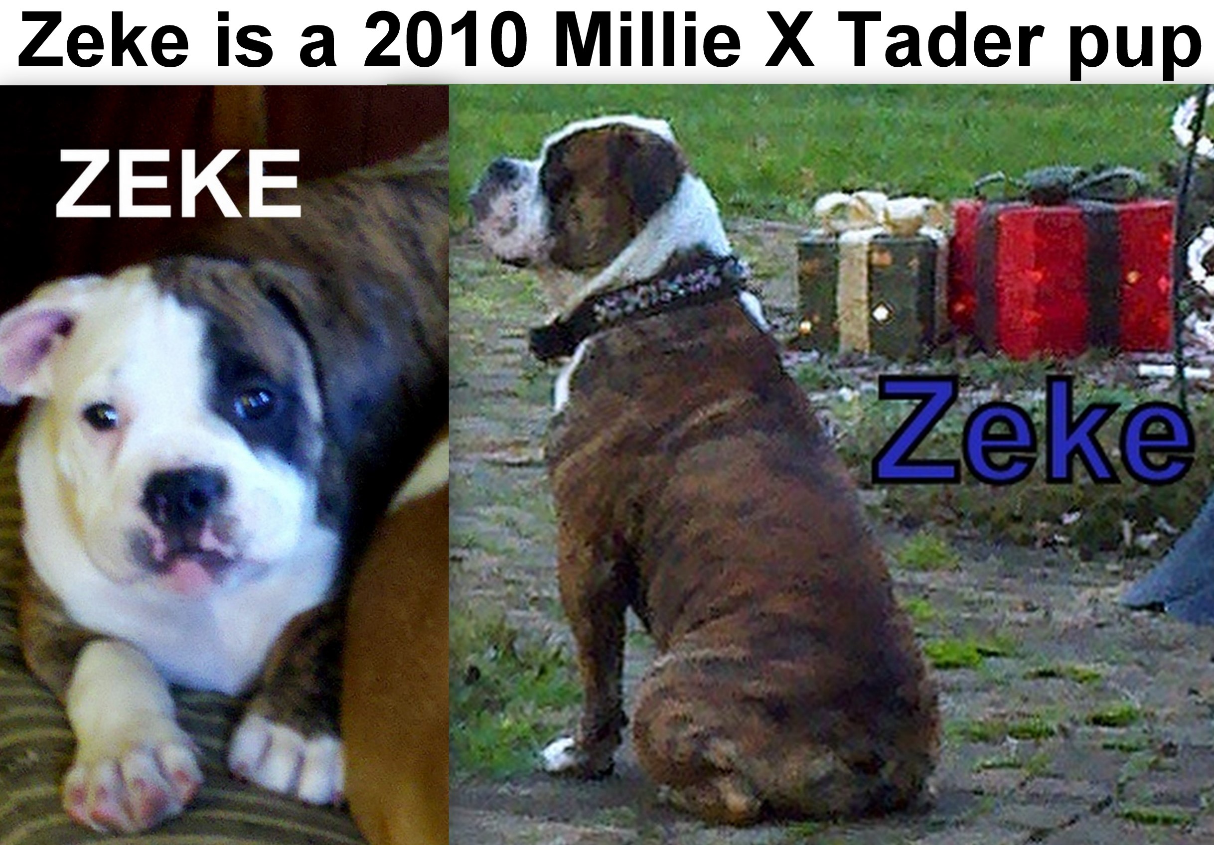 zekepics.jpg